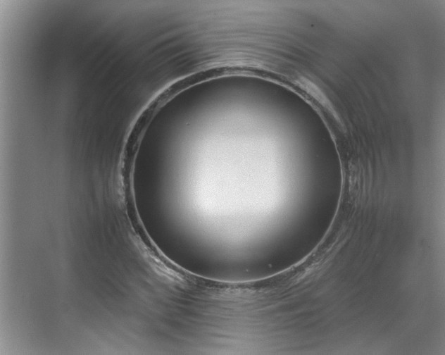 X0000070391068200606161404