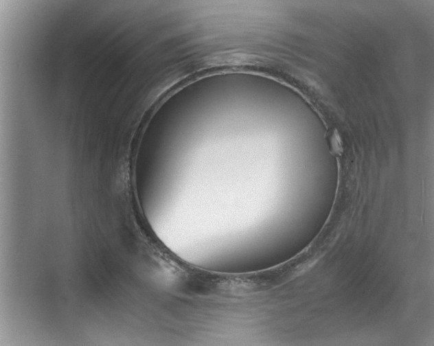 X0000070391073200606161404