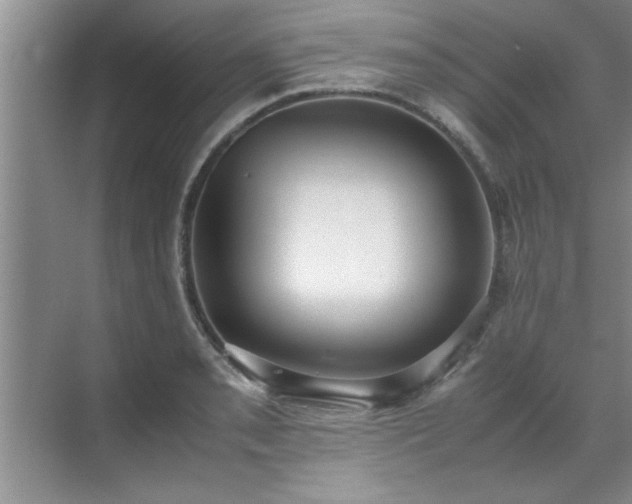 X0000070391085200606161404