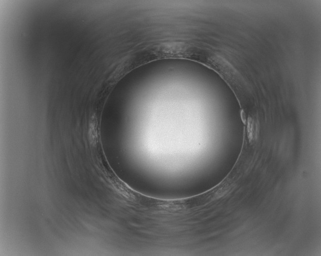 X0000070391107200606161402