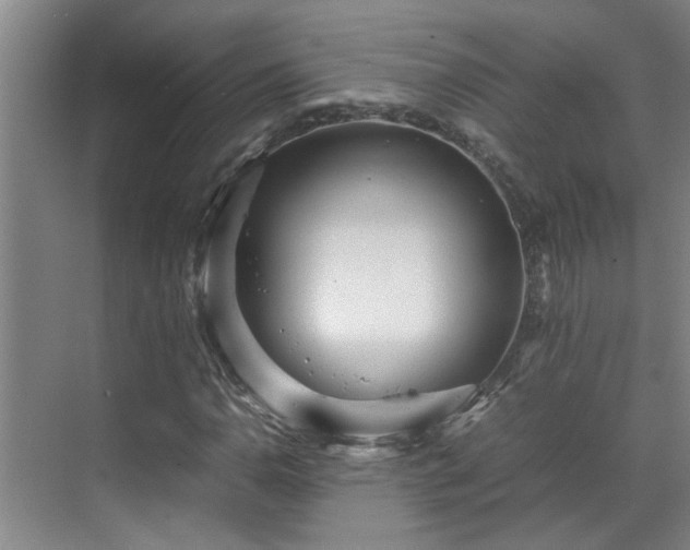 X0000070391110200606161402