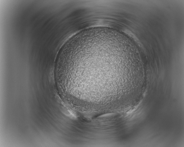 X0000070391121200606161403