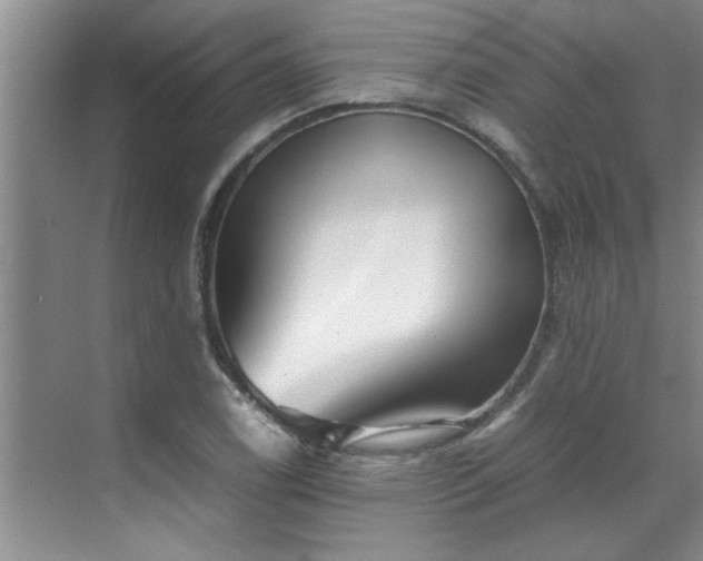 X0000070391122200606161403