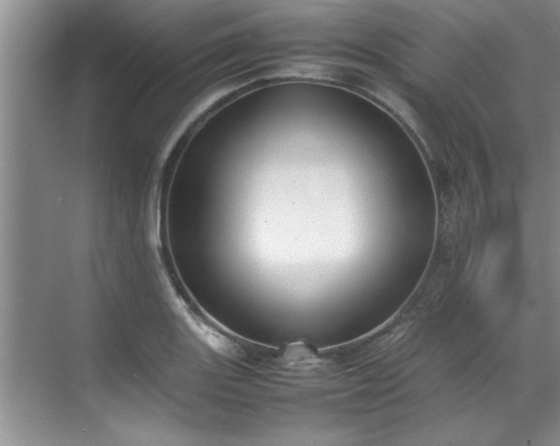 X0000070391131200606161403