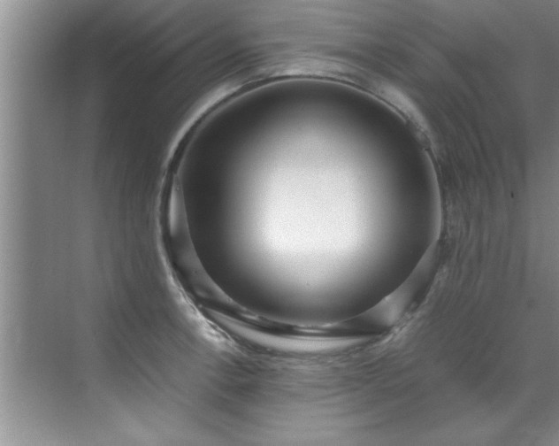 X0000070391138200606161403