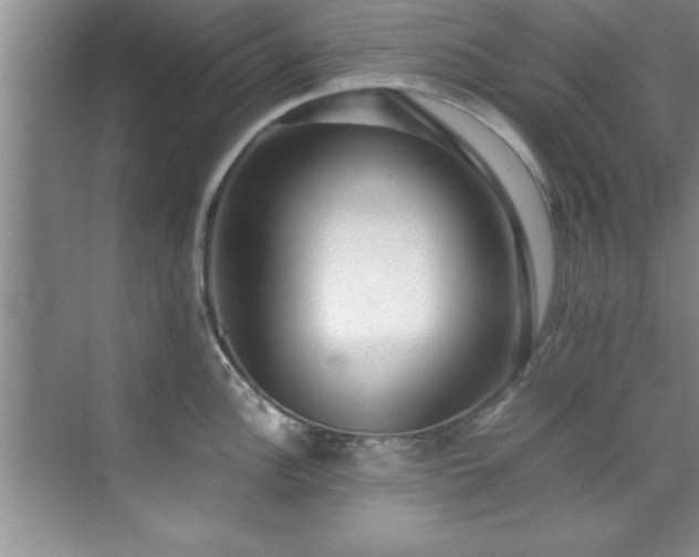 X0000070391148200606161403