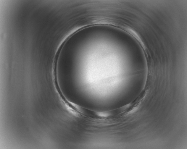 X0000070391149200606161403