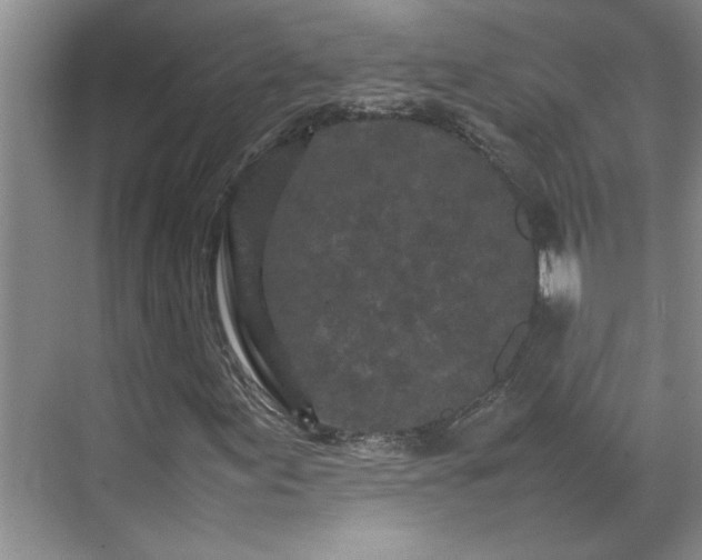 X0000070391155200606161402