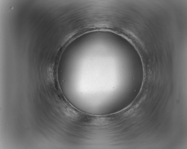 X0000070391162200606161402