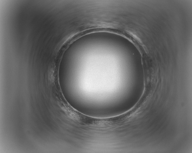 X0000070391163200606161402