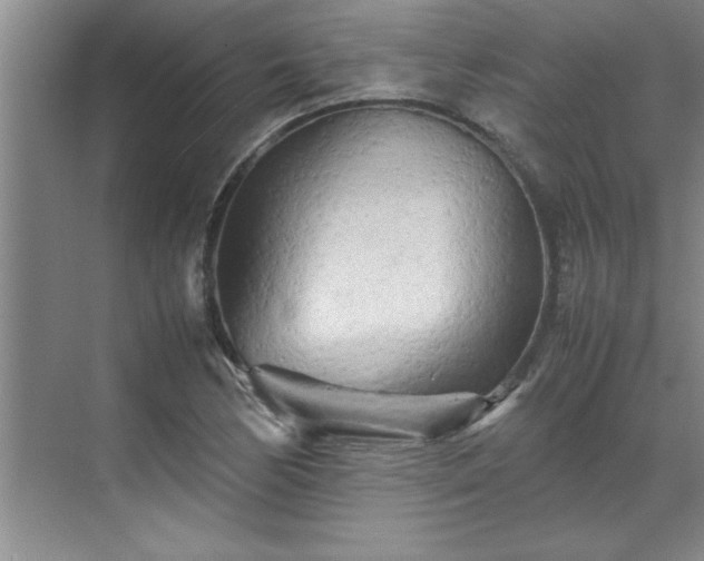 X0000070391170200606161402