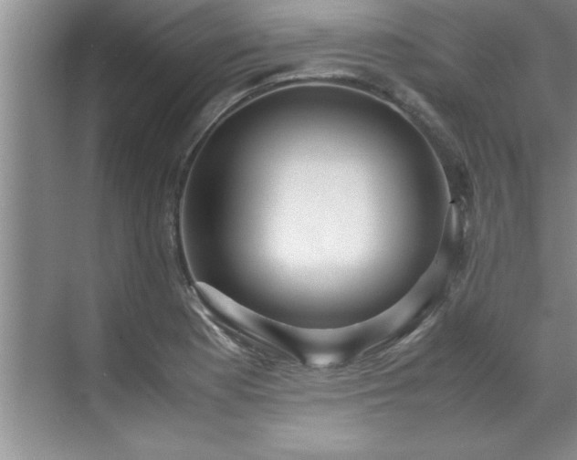 X0000070391177200606161402