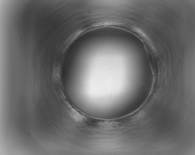 X0000070391185200606161402