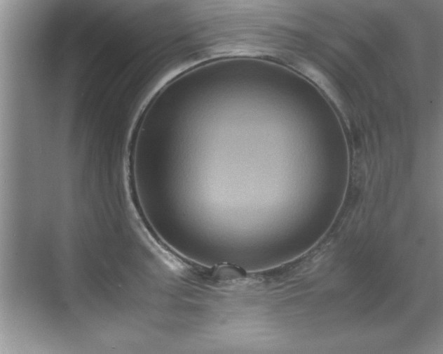 X0000070391187200606161402
