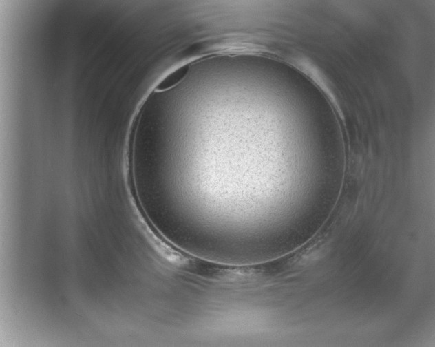 X0000070391195200606161402