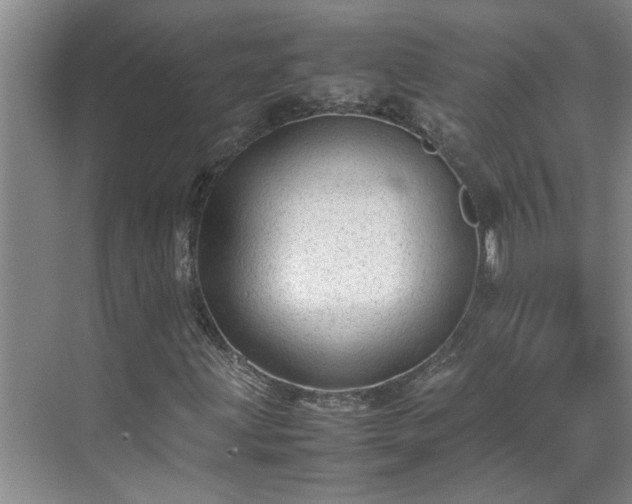 X0000070391203200606161401