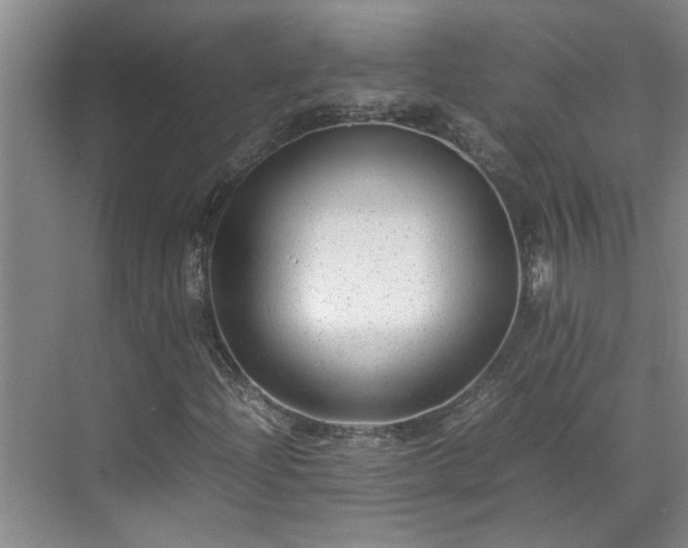 X0000070391204200606161401