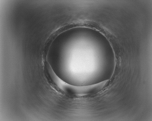 X0000070391206200606161401