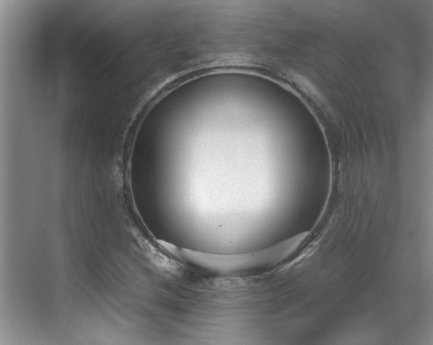 X0000070391212200606161401