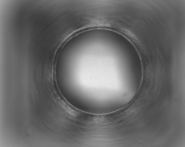 X0000070391220200606161401