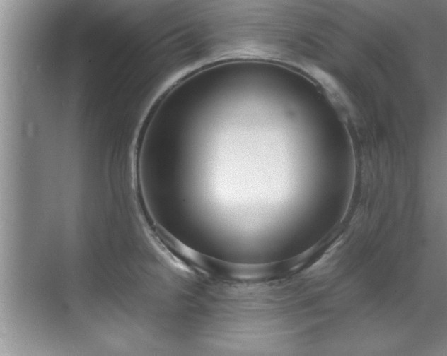 X0000070391238200606161401