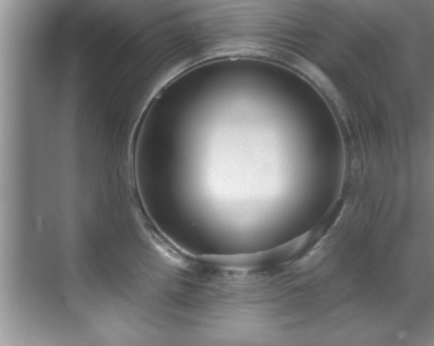 X0000070391242200606161401