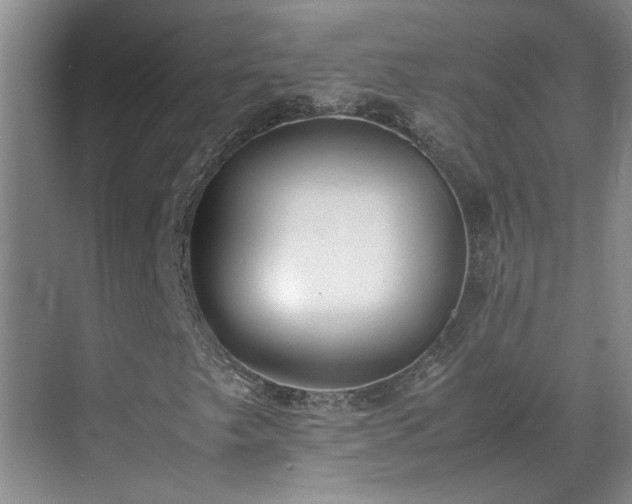 X0000070391249200606161401