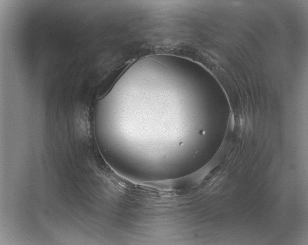 X0000070391252200606161401