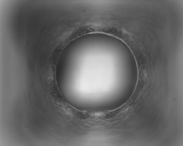 X0000070391253200606161401
