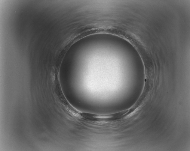 X0000070391257200606161401