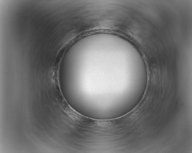 X0000070391258200606161401