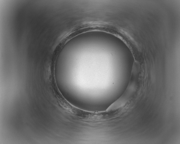 X0000070391261200606161401