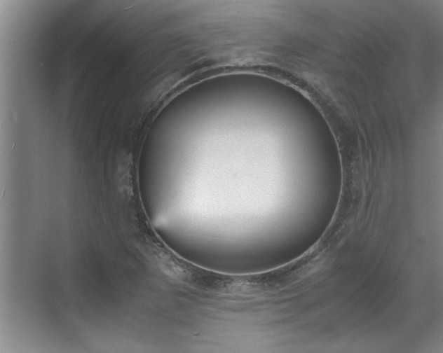 X0000070391265200606161400