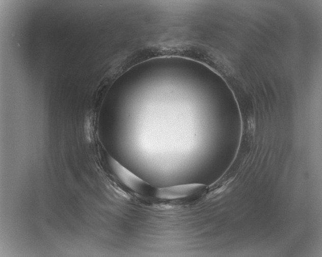 X0000070391300200606161359