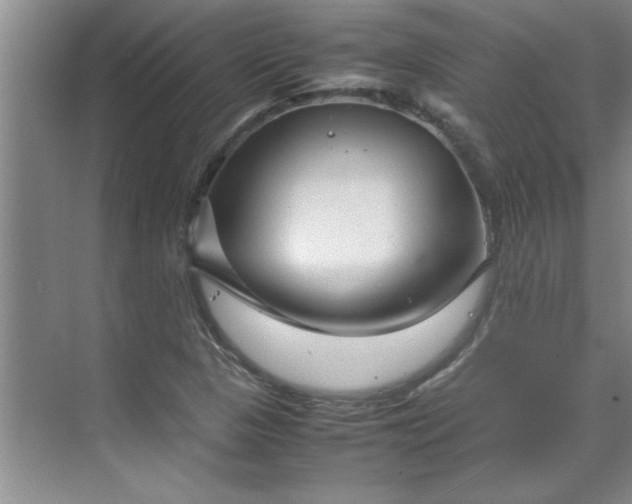 X0000070391313200606161359