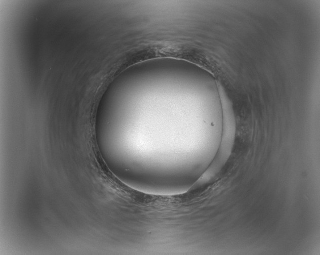 X0000070391345200606161359
