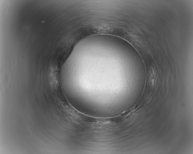 X0000070391346200606161359