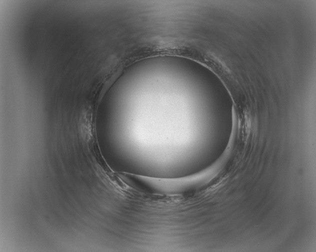 X0000070391348200606161359