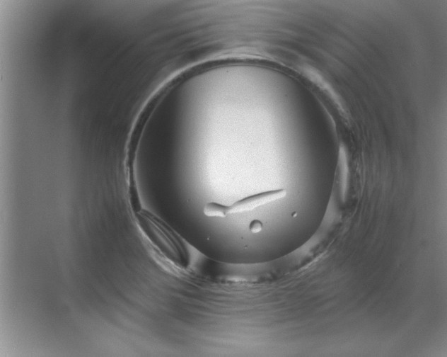 X0000070391372200606161359