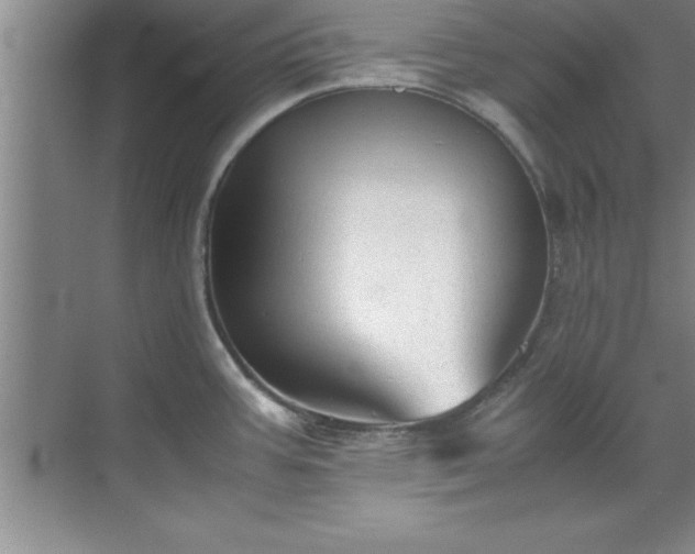 X0000070391387200606161358