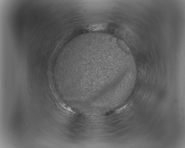 X0000070391393200606161357