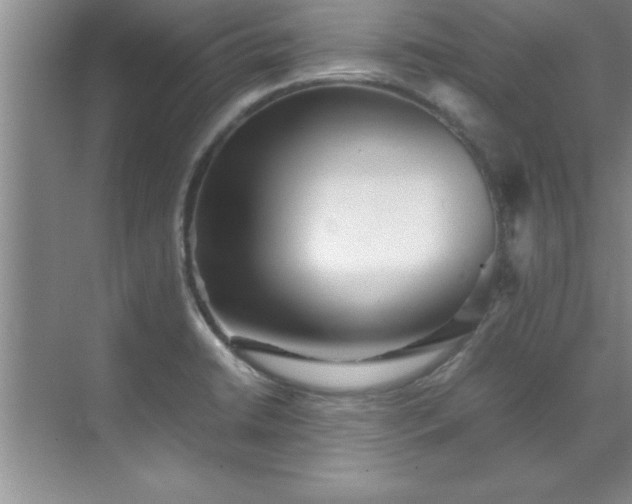 X0000070391422200606161358