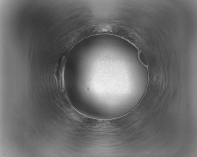 X0000070391442200606161357