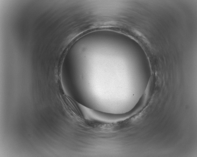 X0000070391457200606161357