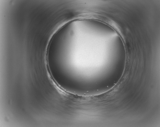 X0000070391485200606161357