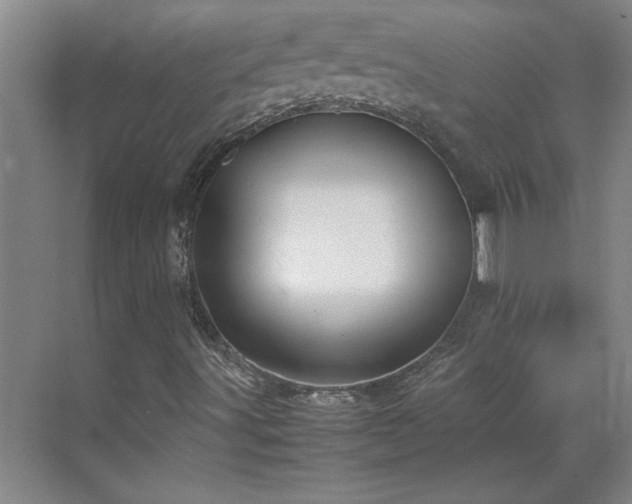 X0000070391491200606161356