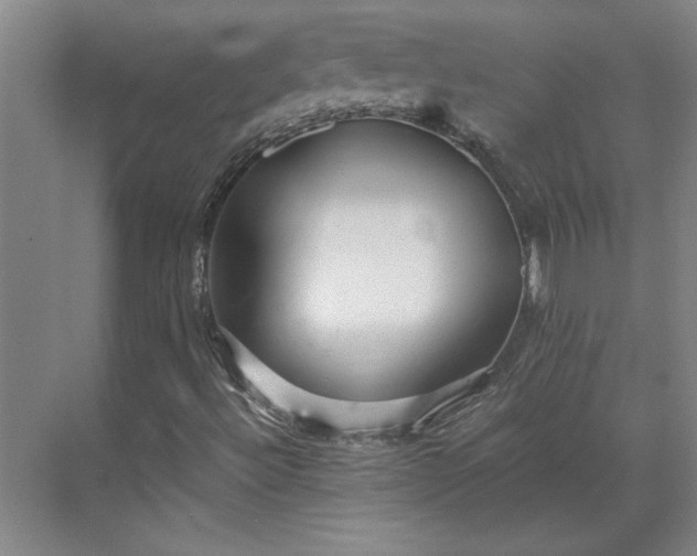 X0000070391492200606161356