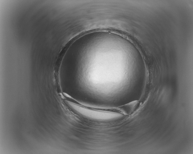 X0000070391497200606161356