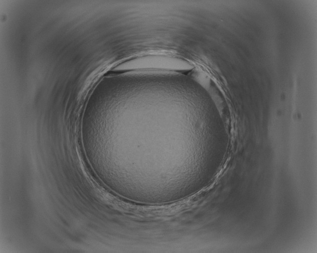 X0000070390001200606231749