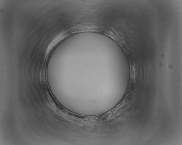 X0000070390004200606231749